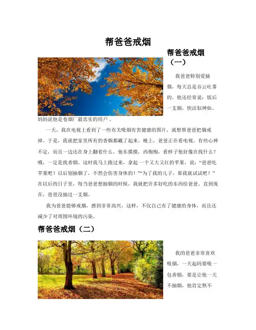 帮爸爸戒烟(共10篇)