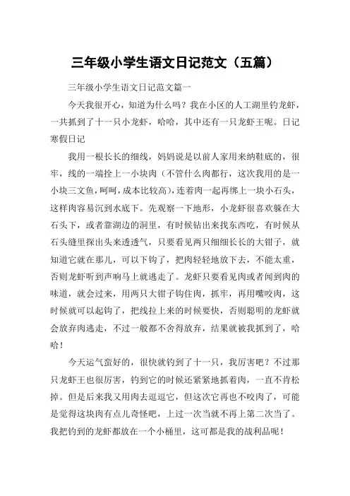 三年级小学生语文日记范文(五篇)