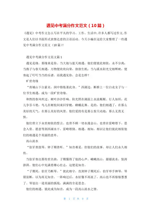 遇见中考满分作文范文(10篇)
