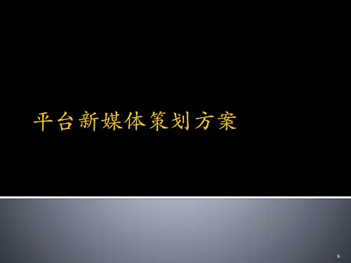 平台新媒体策划方案ppT课件