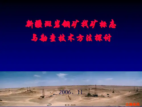 斑岩铜矿培训课件