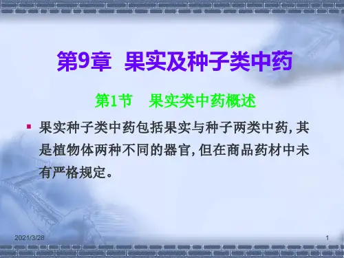 果实种子类课件