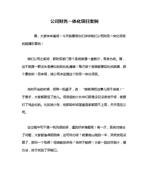 公司财务一体化项目案例