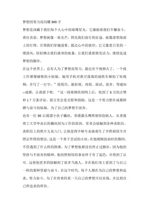 梦想因努力而闪耀800字