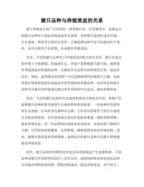 猪只品种与养殖效益的关系