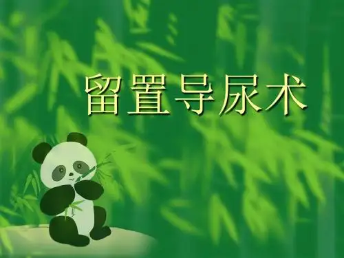 1-9讲座  留置导尿术课稿