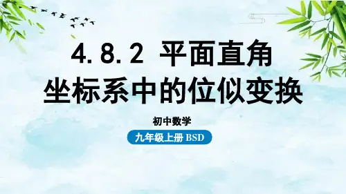 4.8.2平面直角坐标系中的位似变换九年级上册数学北师大版