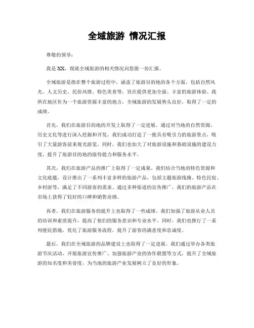 全域旅游 情况汇报