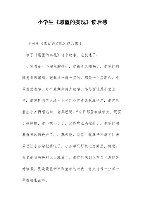 小学生《愿望的实现》读后感