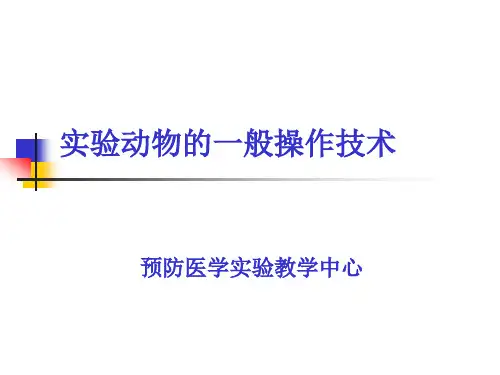 毒理实验基本操作