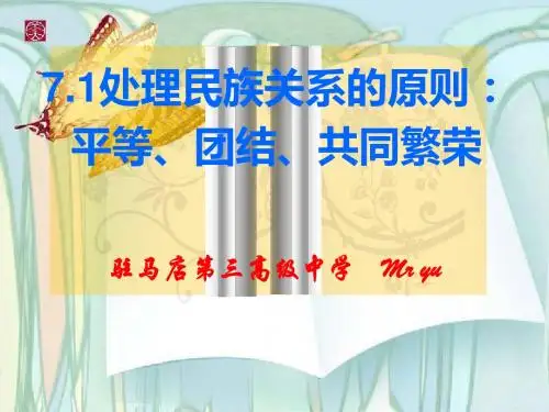 处理民族关系的原则