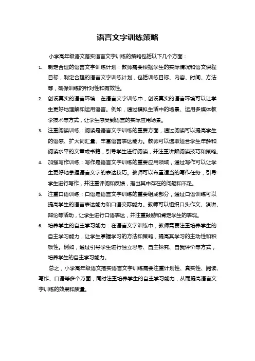 语言文字训练策略