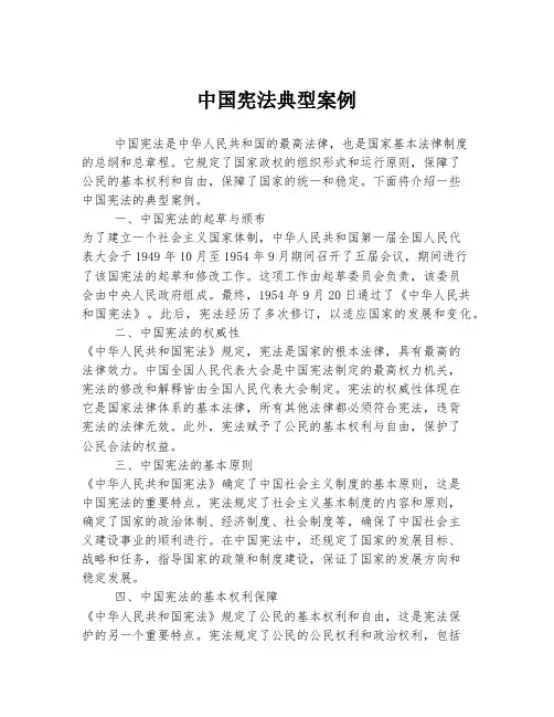 中国宪法典型案例