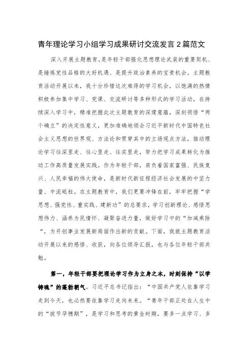 青年理论学习小组学习成果研讨交流发言2篇范文