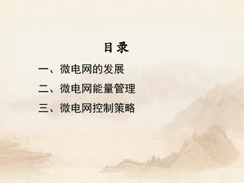 微电网能量管理与控制策略ppt课件