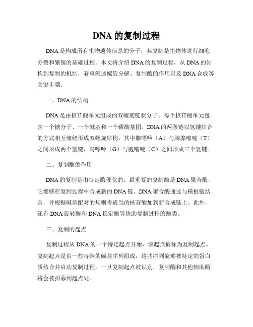 DNA的复制过程