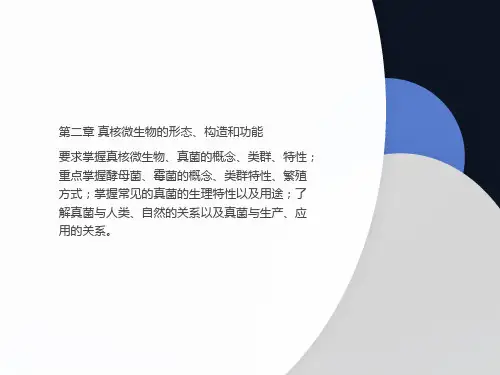 微生物第二章真核微生物的形态构造和功能