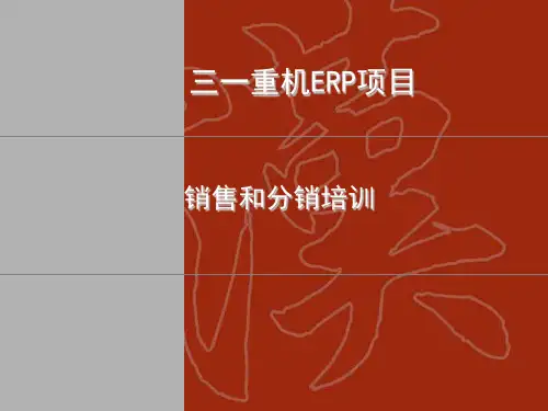 SAP-SD模块详细讲义