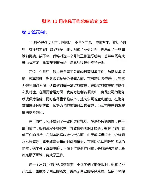 财务11月小我工作总结范文5篇