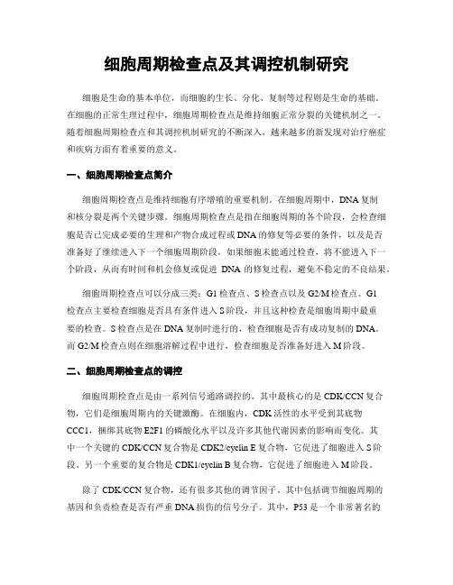 细胞周期检查点及其调控机制研究