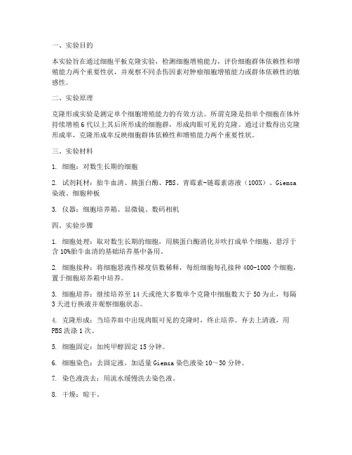 细胞平板克隆实验报告