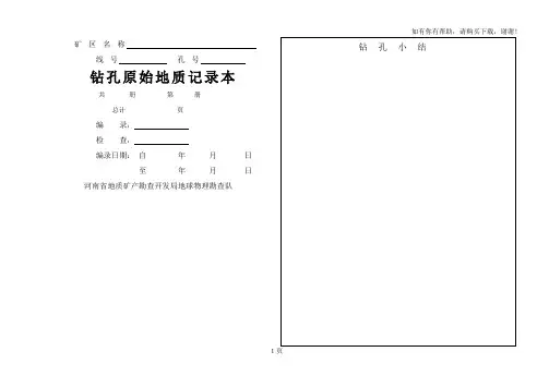 钻孔原始地质记录表正式