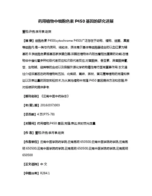 药用植物中细胞色素P450基因的研究进展