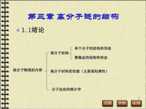 高分子物理链的结构