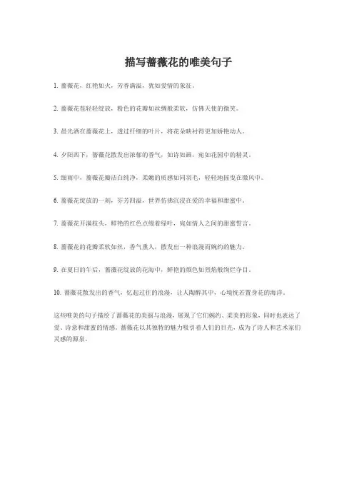 描写蔷薇花的唯美句子