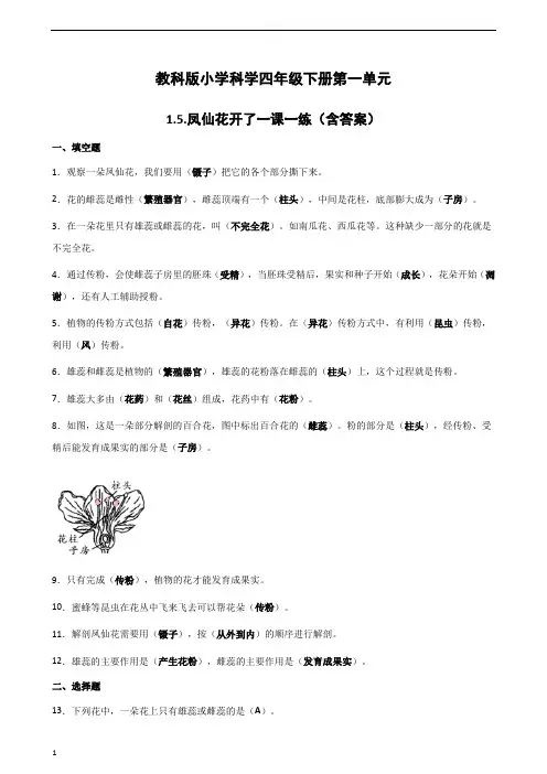 四年级下册科学第一单元《作业设计》第5——8课习题答案解析(教科版)