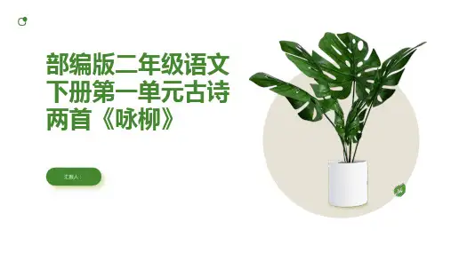 部编版二年级语文下册第一单元古诗两首《咏柳》
