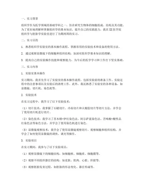 组织学实习报告