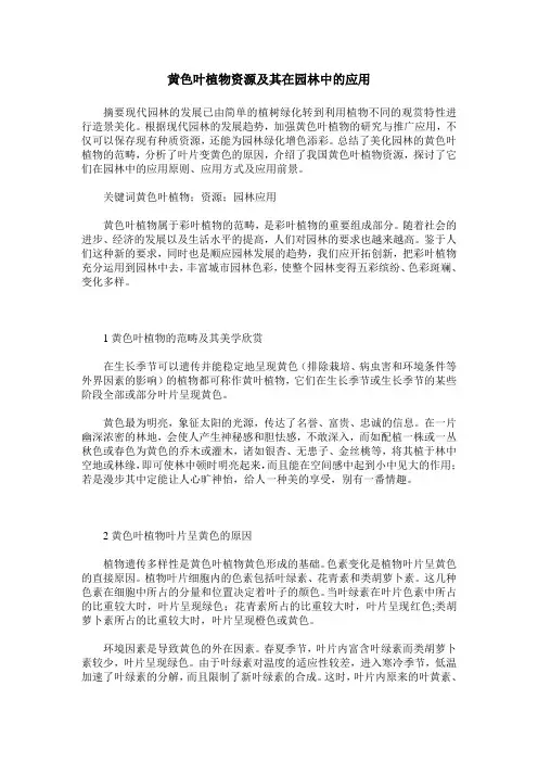 黄色叶植物资源及其在园林中的应用