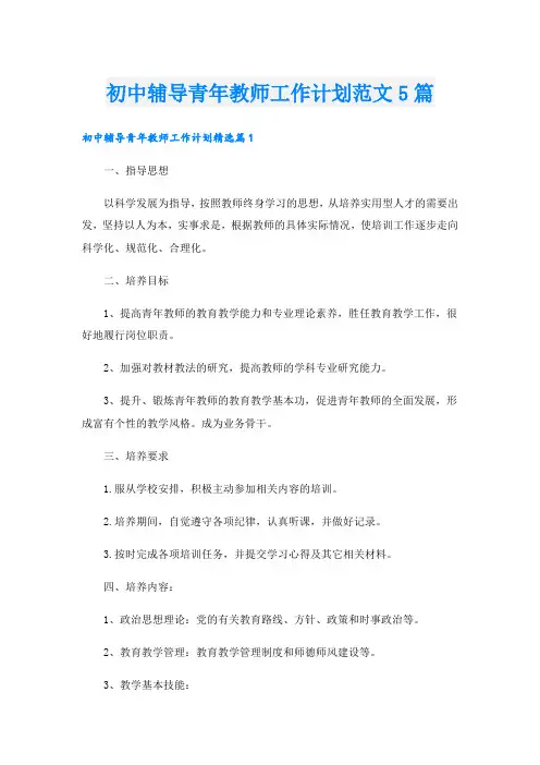 初中辅导青年教师工作计划范文5篇