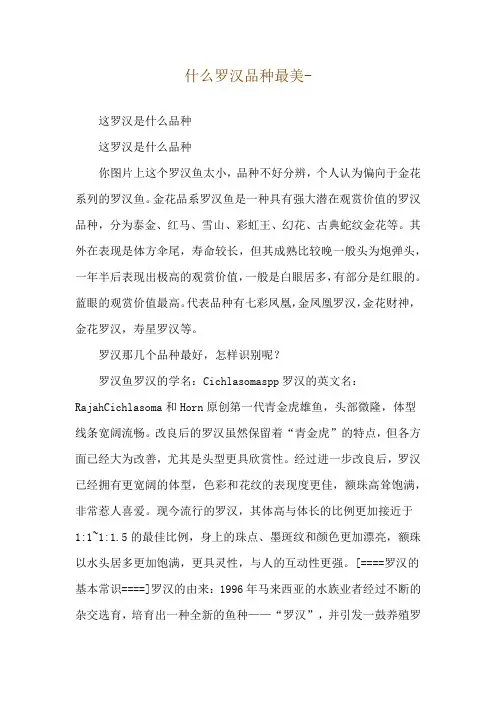 什么罗汉品种最美--这罗汉是什么品种