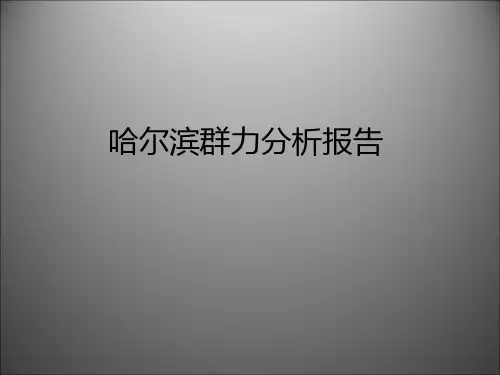 哈尔滨群力新区研究分析总结