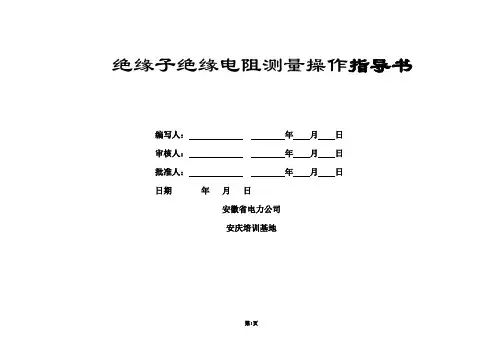 绝缘子绝缘电阻测量操作指导书