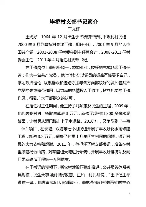 毕桥村支部书记简介
