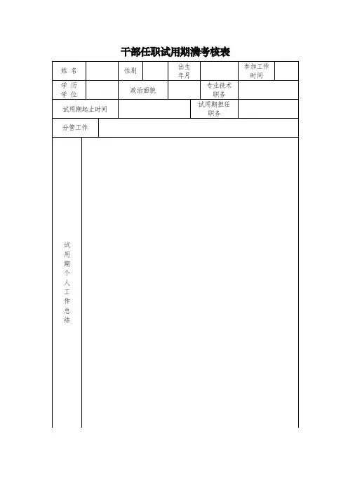 干部任职试用期满考核表