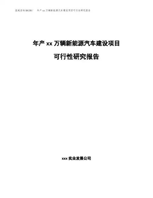 年产xx万辆新能源汽车建设项目可行性研究报告