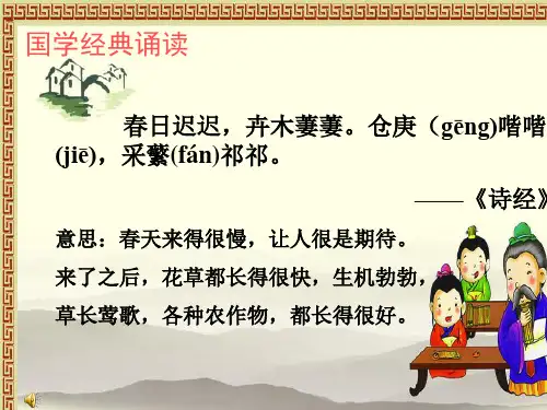《鸟的天堂》公开课PPT课件