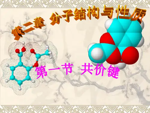 第二章第一节 共价键