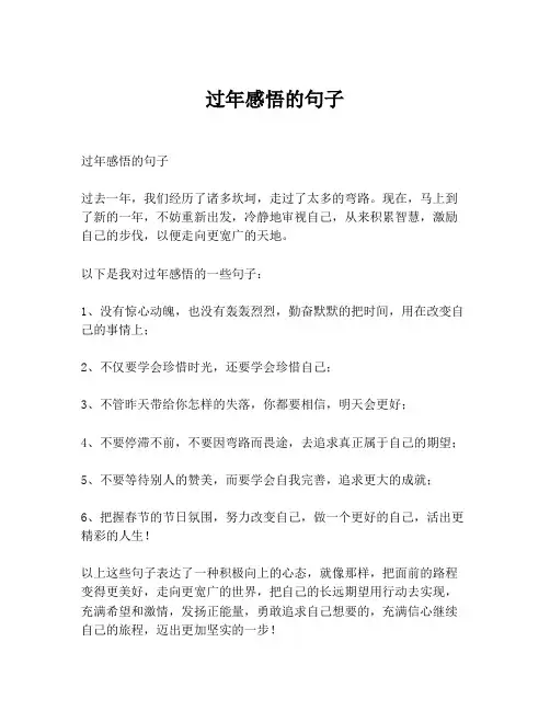 过年感悟的句子