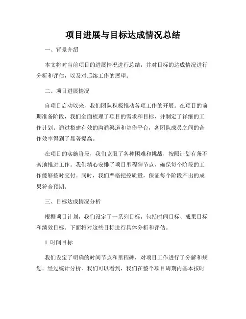 项目进展与目标达成情况总结