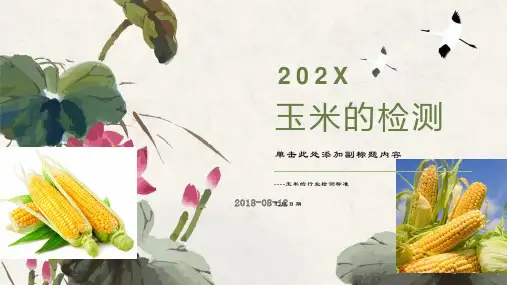 玉米的检测标准