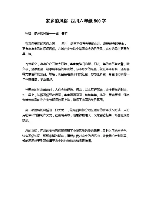 家乡的风俗 四川六年级500字