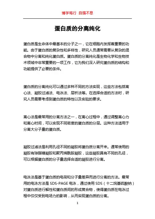 蛋白质的分离纯化