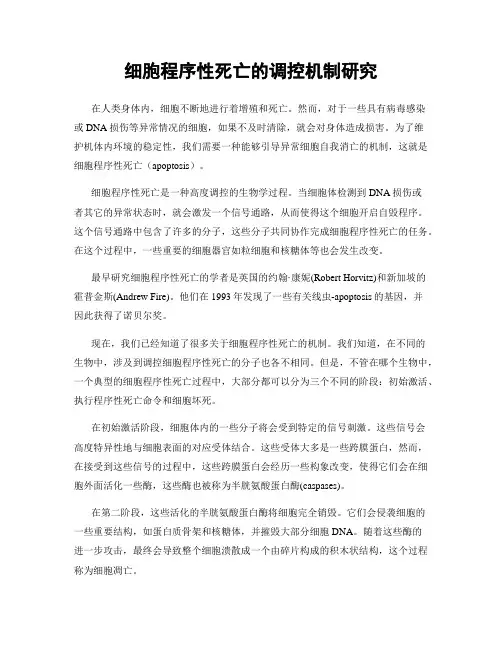 细胞程序性死亡的调控机制研究