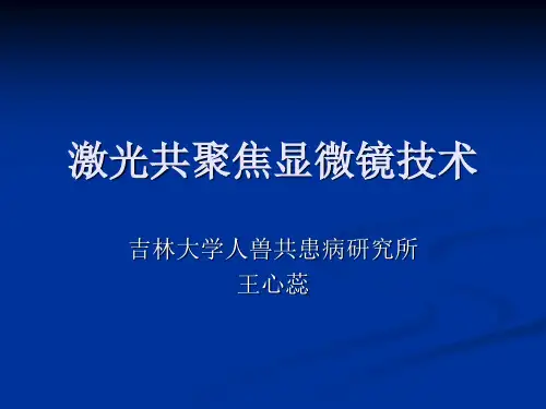 激光共聚焦显微镜技术