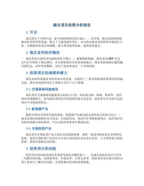 湖北项目投资分析报告